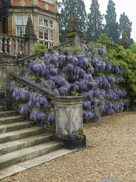 Tylney Hall Hotel